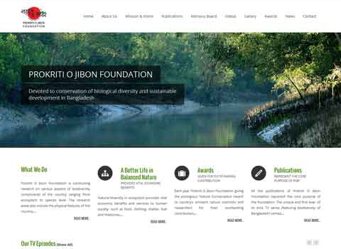 isoftware-web-design